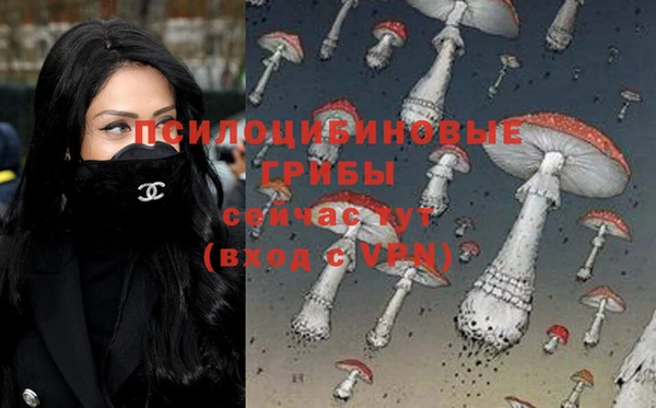 круглые Няндома