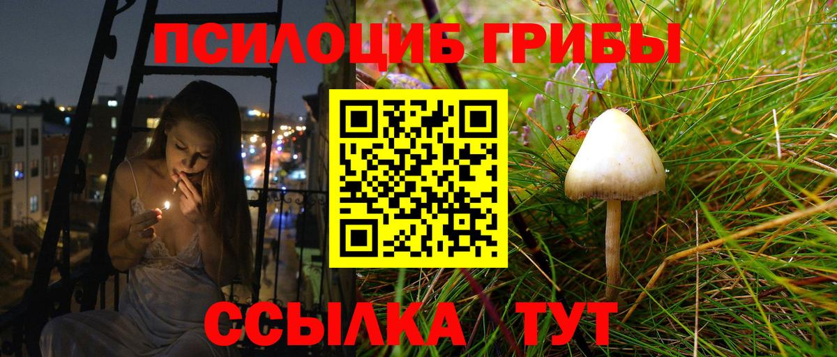 Галлюциногенные грибы Magic Shrooms  Вход с VPN  Отрадное 