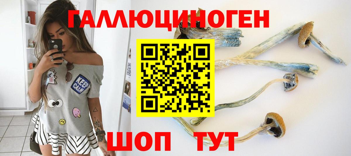 Псилоцибиновые грибы MAGIC MUSHROOMS Отрадное